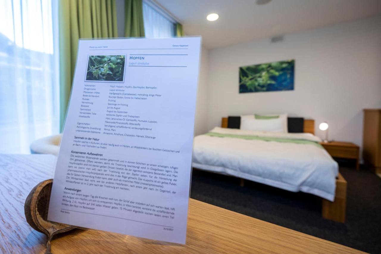 Hotel Ochsen Rapperswil/Be Rapperswil  Экстерьер фото